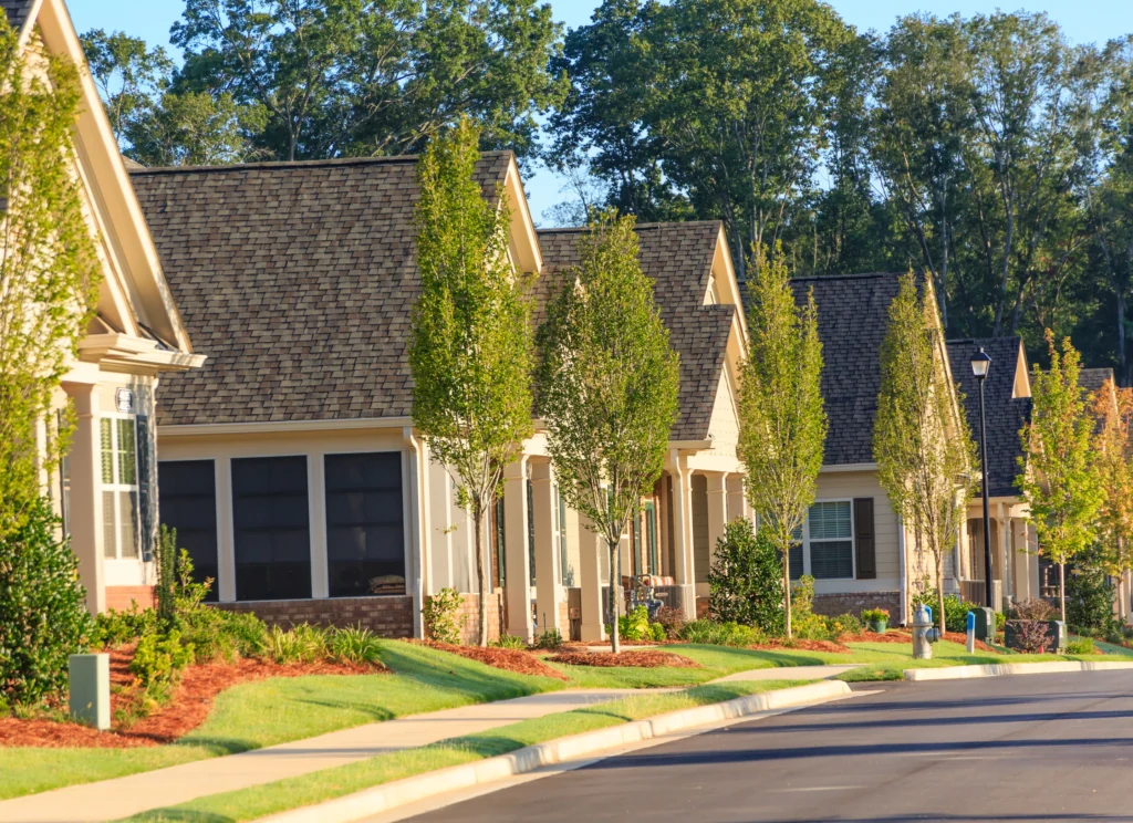 rows of houses and treers